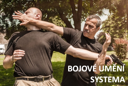 BOJOVÉ UMĚNÍ SYSTEMA